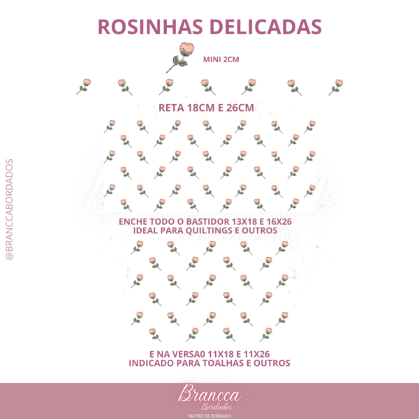 ROSAS DELICADAS